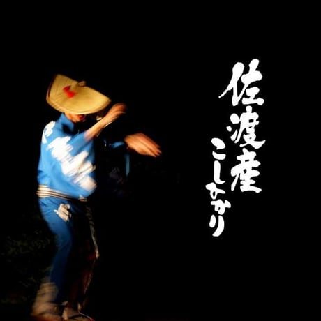 [新潟米 令和6年産] 佐渡産コシヒカリ 厳選産地米 新潟米 実りシリーズ お米 白米 新潟県産 こしひかり 送料無料 ギフト対応