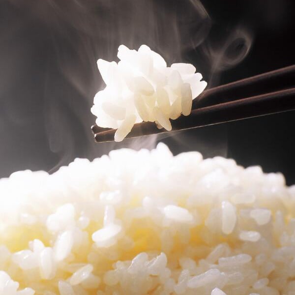 ［数量限定販売］残1 令和5年産　魚沼産コシヒカリ　白米　25キロ 数量限定販売］残1 令和5年産 魚沼産コシヒカリ 白米 25キロ