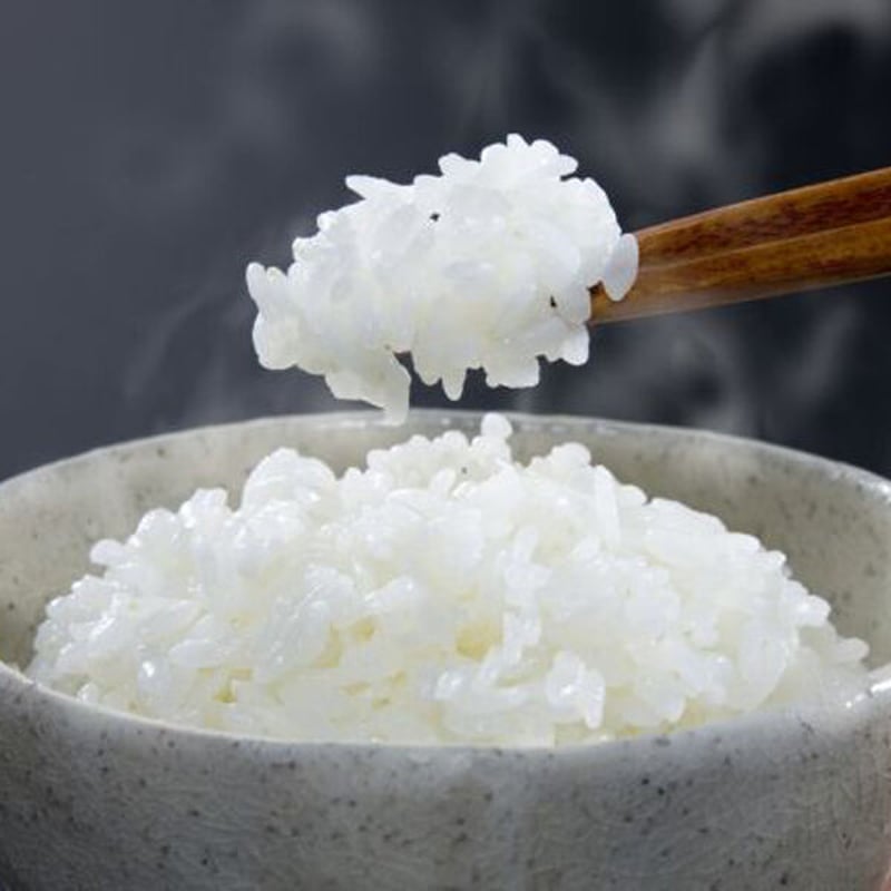 新潟米 令和6年産] 無洗米 岩船産 コシヒカリ 真空ブリック