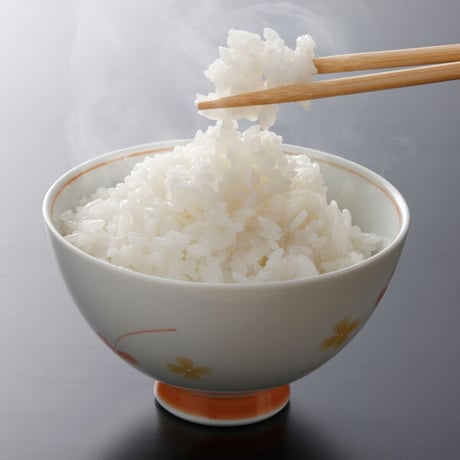 [新潟米 令和5年産] 新潟産 こしいぶき  [一押し推奨米] 新潟米の奏シリーズ～②