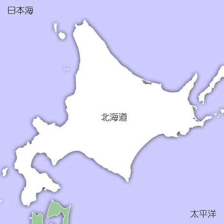[新潟米 令和5年産] 無洗米 北海道産 ゆめぴりか ピロータイプ平袋入
