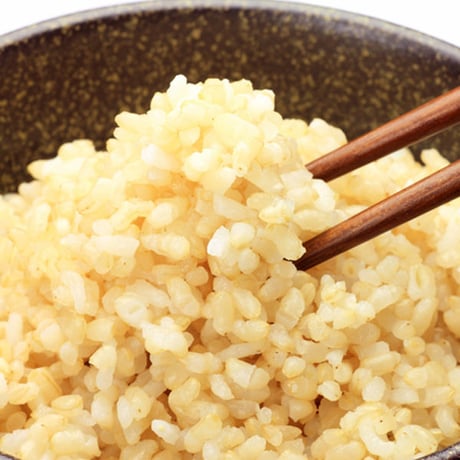 [新潟米 令和6年産] 新潟産コシヒカリ 玄米 5kg [にいがた美人玄米] 玄米雑穀米シリーズ