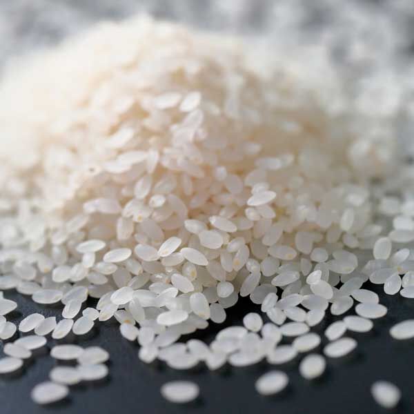 新潟米 令和6年産] 魚沼産 コシヒカリ 越後米俵 コシヒカリ 無