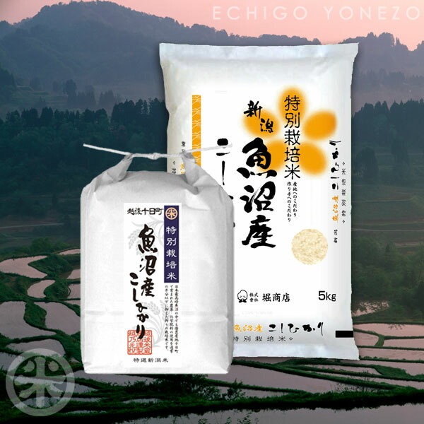 新潟米 令和6年産] 魚沼 十日町産コシヒカリ 特別栽培米 白米