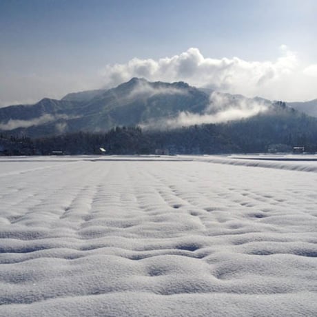 [新潟米 令和5年産] 無洗米 桐箱仕立 雪花 南魚沼塩沢産コシヒカリ 特別栽培米 白米 5kg (1kg×5) 真空パック 贈答 御祝 内祝 御中元 御歳暮