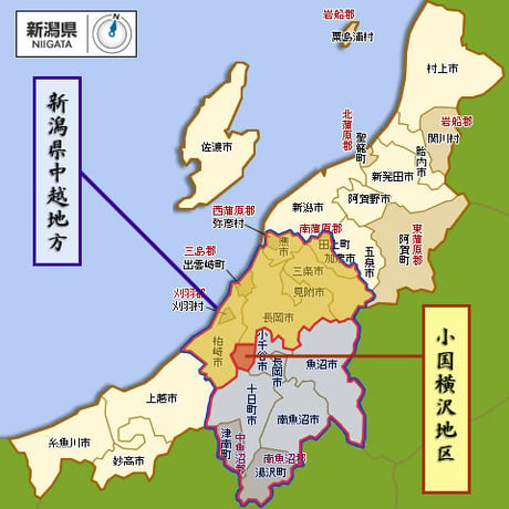 [新潟米 令和5年産] 小国横沢産コシヒカリ 5kg [よこさわ米] 特別栽培米シリーズ