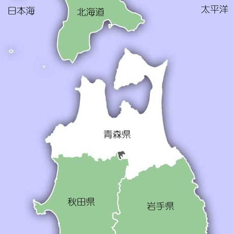 [青森米 令和5年産] 無洗米 青森県産 青天の霹靂 ピロータイプ平袋入 日本全国銘米シリーズ