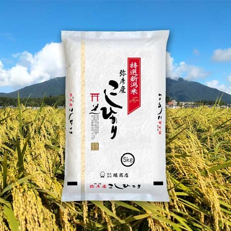 [新潟米 令和5年産] 新潟西蒲原 弥彦産コシヒカリ 弥彌彦様の米 白米 厳選産地米
