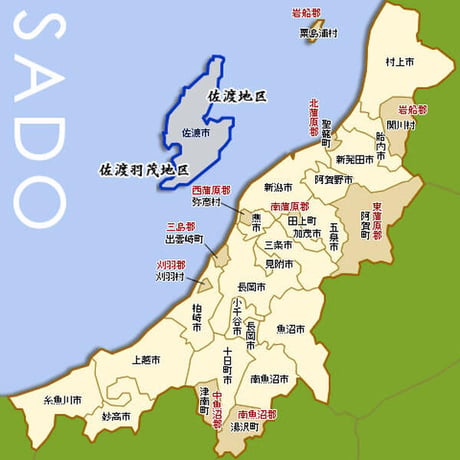 [新潟米 令和6年産] 無洗米 佐渡産 コシヒカリ 真空ブリックパック チャック付 真空パック こしひかり 長期保存 備蓄