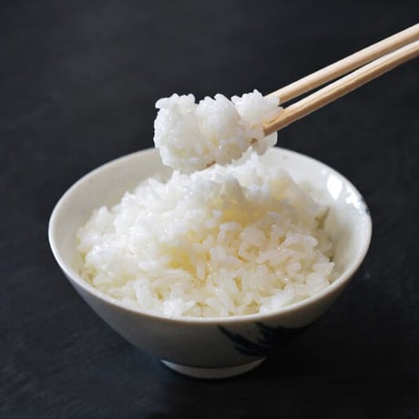 [新潟米 令和5年産] 新潟県産 五百川 白米 極早生 新品種 下越米 送料無料 ごひゃくがわ