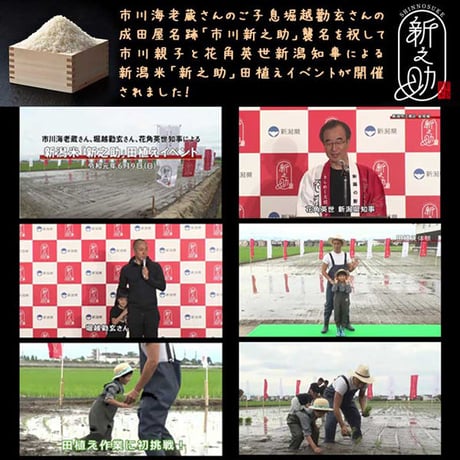 [新潟米 令和7年産] 新潟産 新之助  [越後米真打ち] 厳選産地米シリーズ