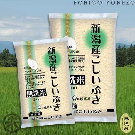 [新潟米 令和5年産] 新潟産 こしいぶき 無洗米  [NTWP製法] 新潟無洗米シリーズ