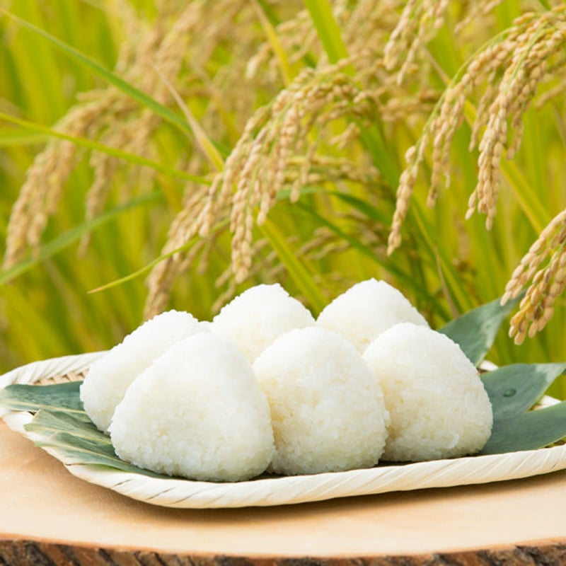 笹川流れの塩ギフトセット 1.2kg 日本海企画 [越の塩] 新潟特選品