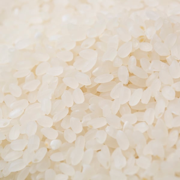 秋田米 令和5年産] 無洗米 秋田県産 あきたこまち 5kg ピロータイプ平