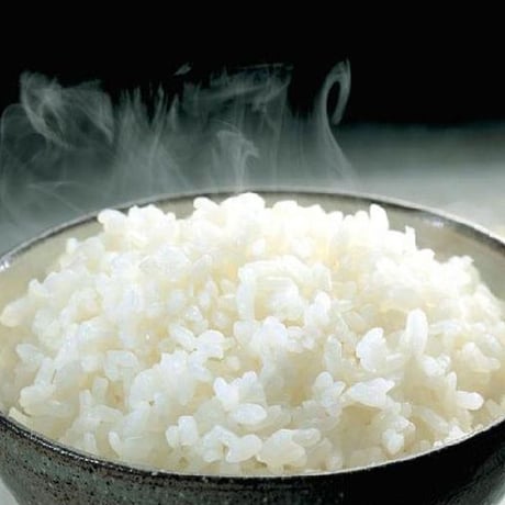 [新潟米 令和5年産] 新潟産コシヒカリ 低温循環精米 [やさし精米] 厳選産地米シリーズ