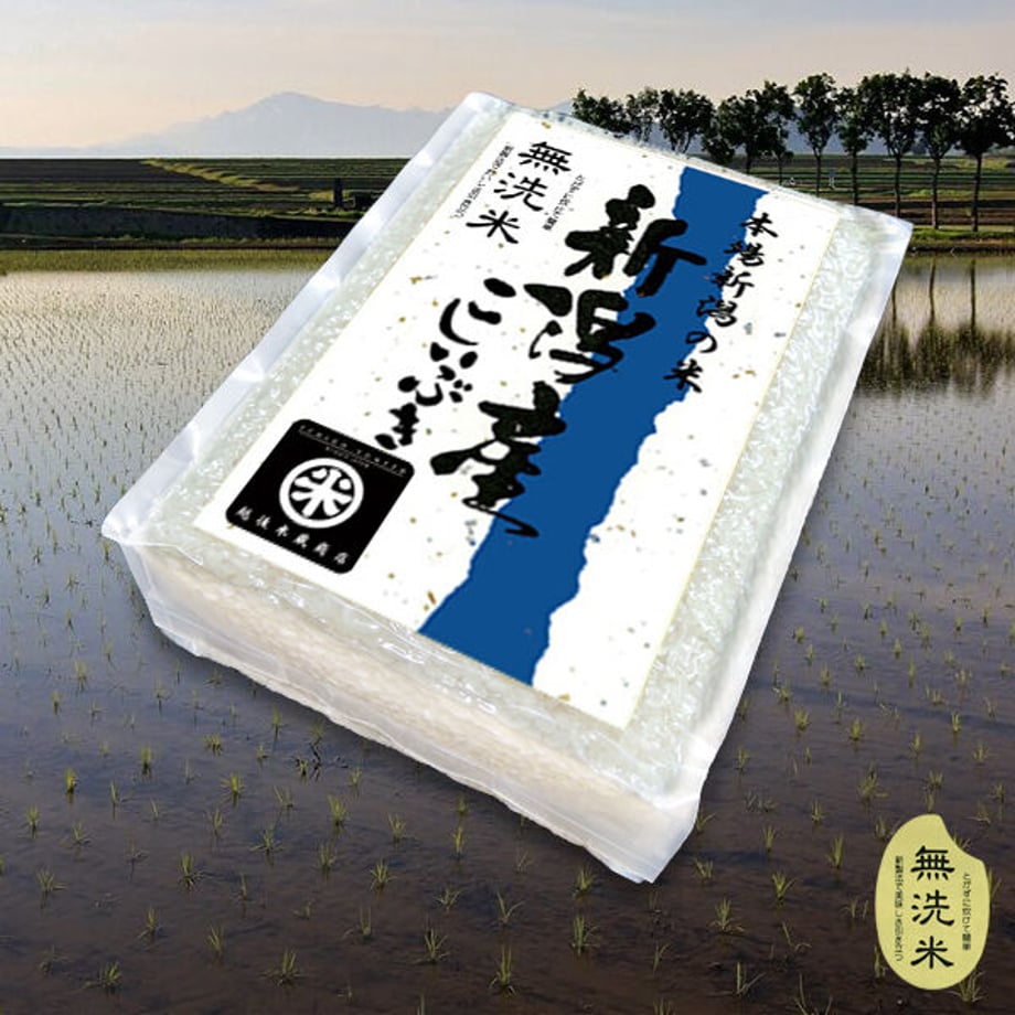 6513bcbe80c8d8002c724efd