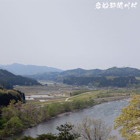 [新潟米 令和5年産] 胎内産コシヒカリ [星降る蛍の里] 厳選産地米シリーズ