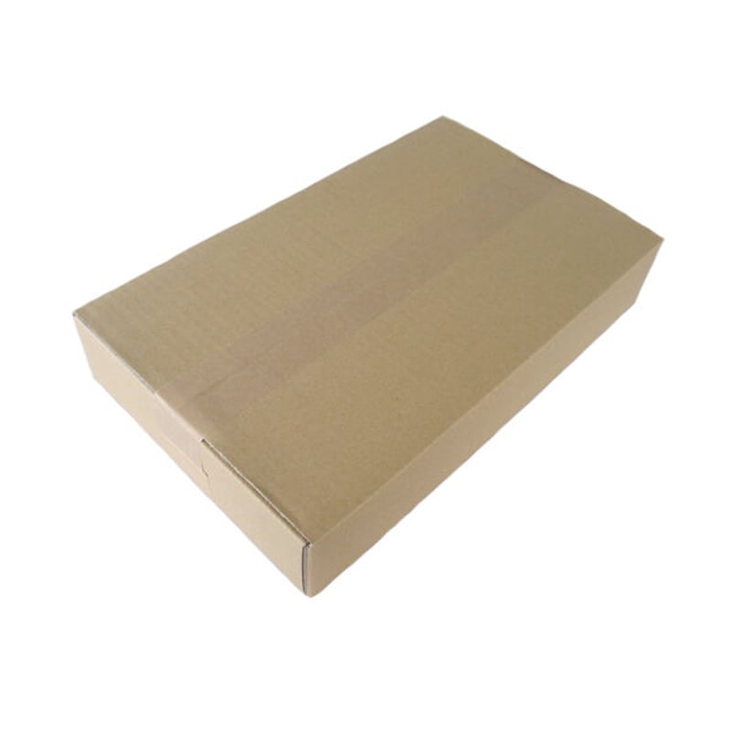 新潟米 令和5年産] 無洗米 北海道産 ゆめぴりか ピロータイプ平袋入