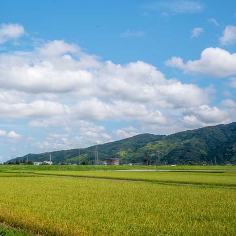 [石川米 令和5年産] 無洗米 石川県産 ひゃくまん穀 ピロータイプ平袋入 日本全国銘米シリーズ