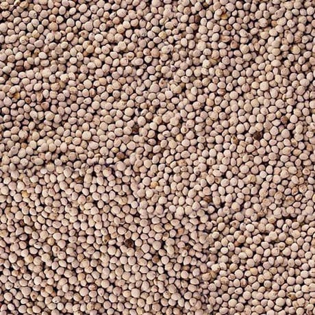 エゴマオイル ギフト2本セット 焙煎(100g×1本)  生搾り(100g×1本) 無農薬栽培  川上農園 [越後五泉] プレミアムオーガニック 新潟特選品シリーズ