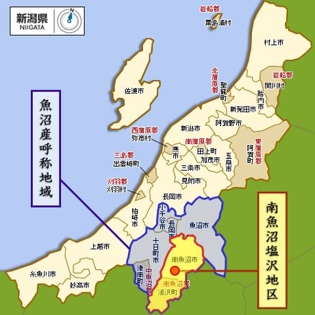 [新潟米 令和5年産] 無洗米 魚沼塩沢産コシヒカリ 特別栽培米 真空ロングパックギフトセット 真空パック  極小数量限定