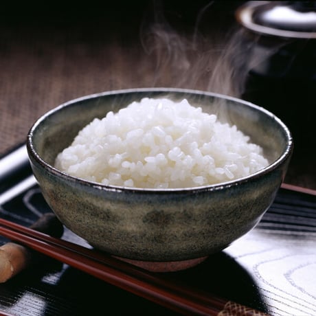 [新潟米 令和5年産] 新潟産コシヒカリ 白米 お徳用 数量限定 越後蒲原 蔵