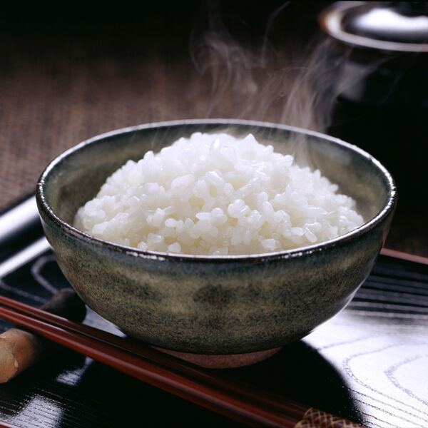 新米 新潟県 ５年産 コシヒカリ 白米 　20ｋｇ(10ｋｇ×2袋) お米 米 新潟米 令和5年産] 新潟産コシヒカリ 白米 お徳用 数量限定 越後