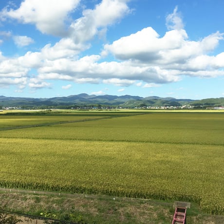 [青森米 令和5年産] 無洗米 青森県産 青天の霹靂 ピロータイプ平袋入 日本全国銘米シリーズ