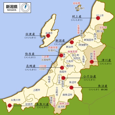 [新潟米 令和5年産] 越乃光悦 新潟小さな旅 越後旅情 3kg (300g×10袋) こしひかり 新之助 ギフト