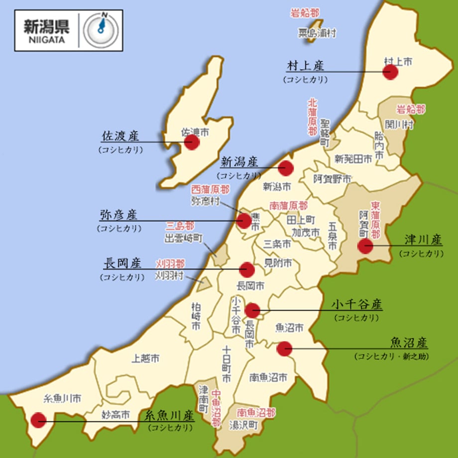 65811a4eb45638002b5e6065