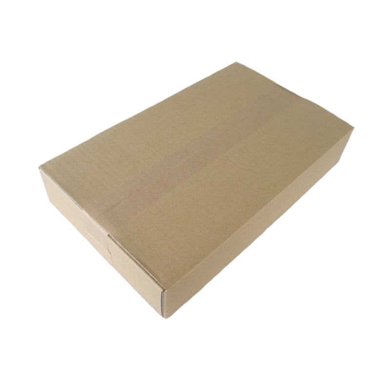 宮城米 令和5年産] 無洗米 宮城県産 だて正夢 ピロータイプ平袋入 日本