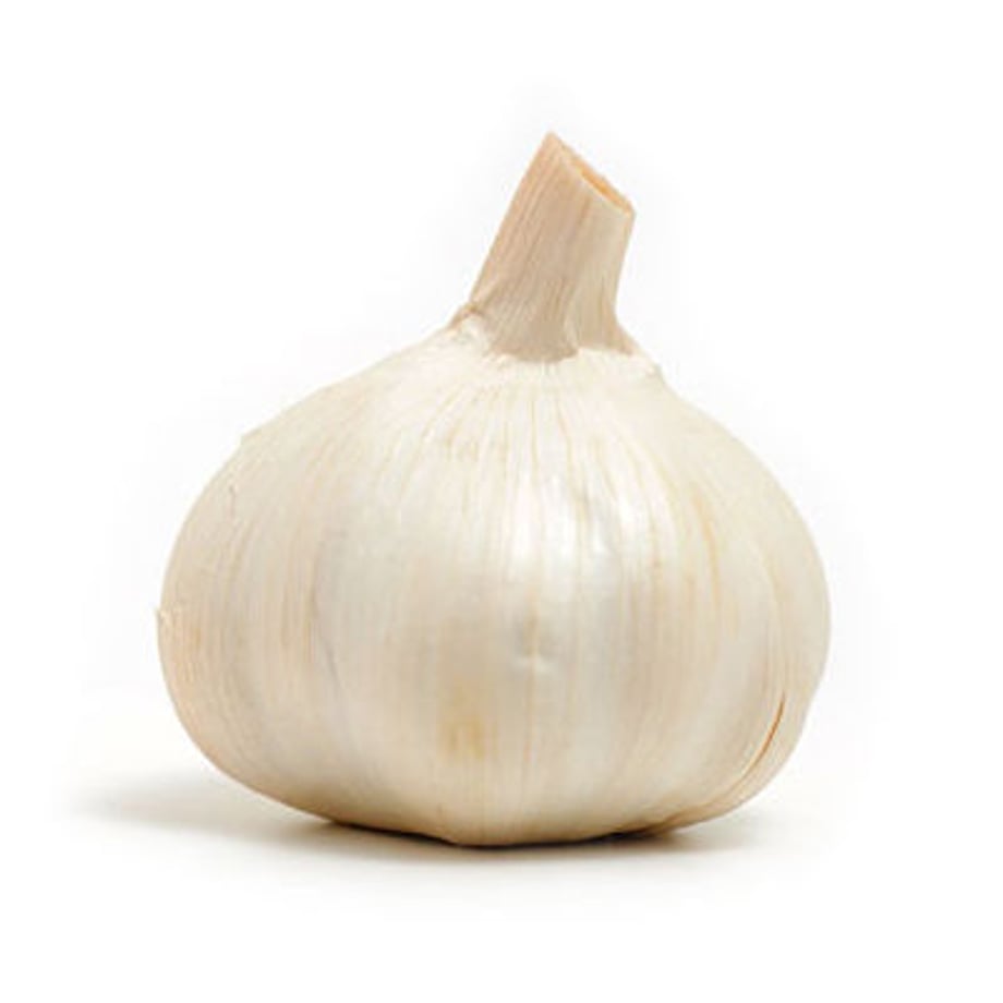 5f314004791d02485c3c65dd
