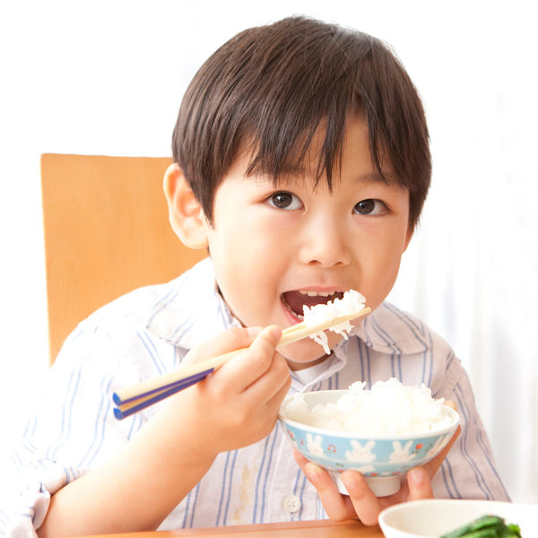 日本一周十六米 無洗米 4.8kg (300g×16パック) 16銘柄アソート 日本一周十六米 無洗米 4.8kg (300g×16パック) 16銘柄アソート
