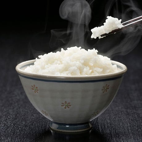 [新潟米 令和5年産] 新潟県産 つきあかり 5kg  [艶々の大粒米] 厳選産地米シリーズ
