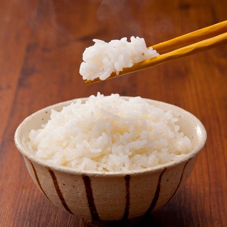 [新潟米 令和5年産] 小国横沢産コシヒカリ 5kg [よこさわ米] 特別栽培米シリーズ