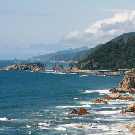 笹川流れの塩 クマ笹 笹の雫 120 g 日本海企画 [ゆうパケット] [越の塩] 新潟特選品シリーズ