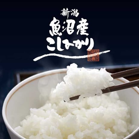 [新潟米 令和5年産] 魚沼産コシヒカリ 新潟米の実りシリーズ 白米 国内最高峰 魚沼 こしひかり