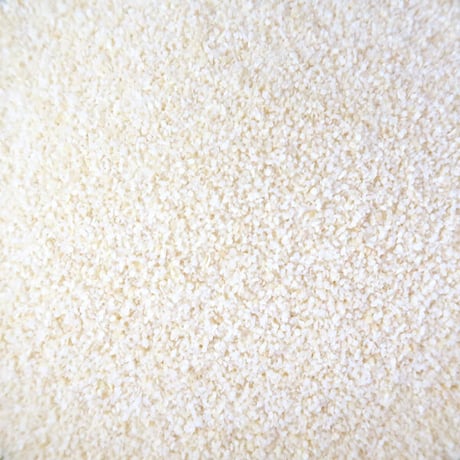 ガーリック 50g 大蒜 新潟唐辛子工房 大祐 [ゆうパケット] [鬼殺し] 新潟特選品シリーズ