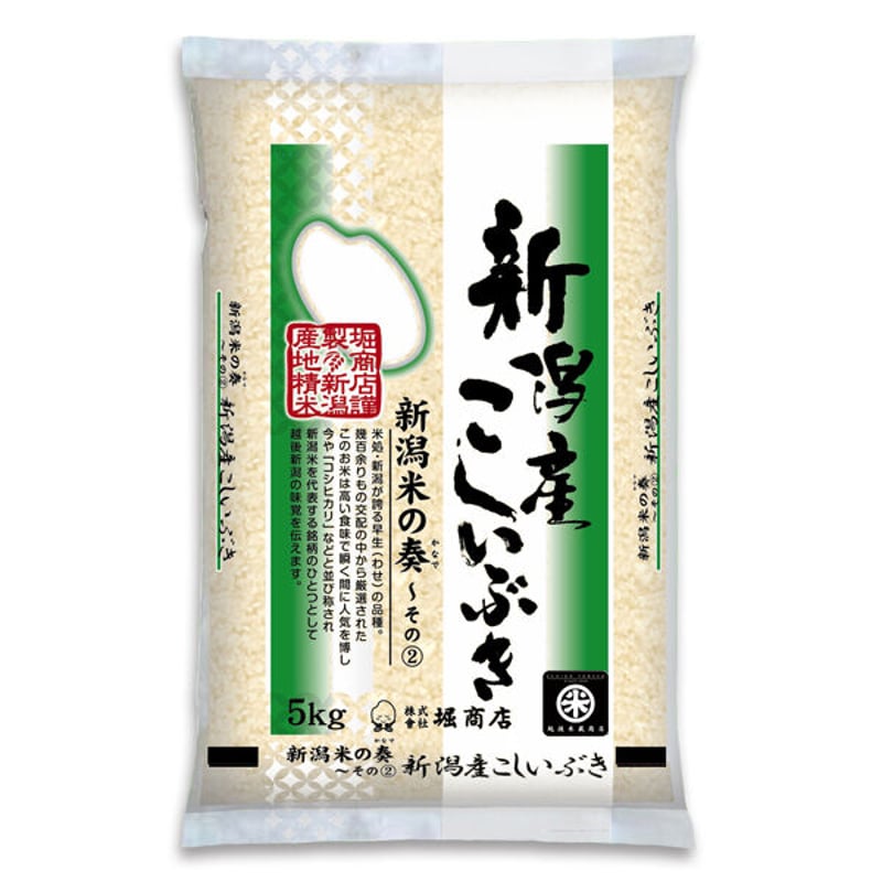 新潟県産　米/穀物　令和元年こしいぶき　中米