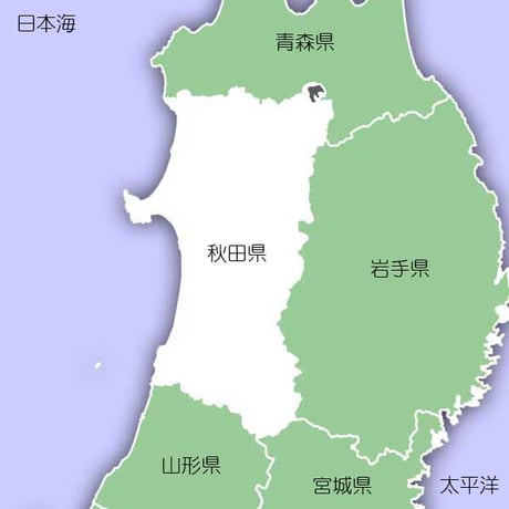 [秋田米 令和5年産] 無洗米 秋田県産 あきたこまち 5kg ピロータイプ平袋入