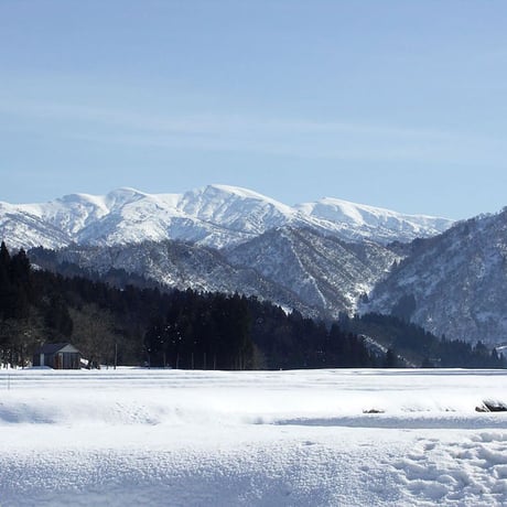 [新潟米 令和5年産] 栃尾産コシヒカリ [雪国盆地] 厳選産地米シリーズ