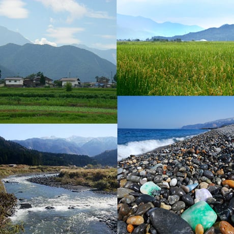 [新潟米 令和5年産] 糸魚川産 コシヒカリ 5kg [翡翠の郷] 厳選産地米シリーズ