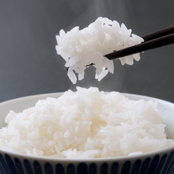 新潟米 令和5年産] 魚沼産コシヒカリ 新潟米の実りシリーズ 白米 国内