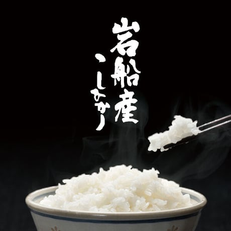 [新潟米 令和6年産] 岩船産 コシヒカリ 厳選産地米 新潟米 実りシリーズ お米 白米 新潟県産 こしひかり 送料無料 ギフト対応