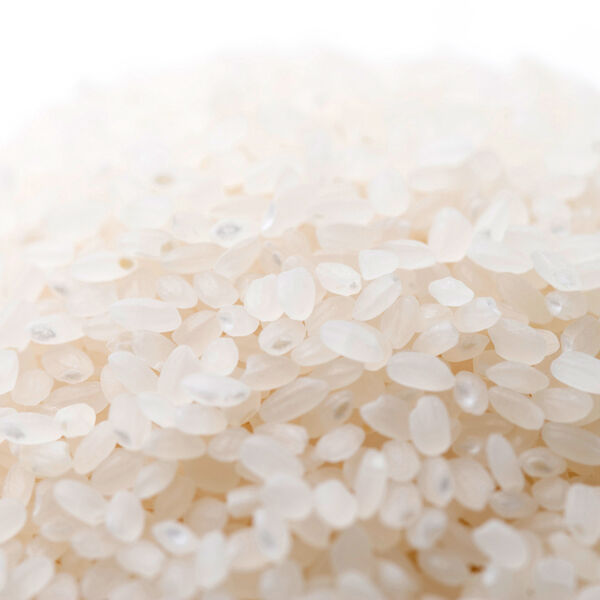 新潟米 令和6年産 新潟産コシヒカリ 金ぼんぼり 10kg 5kg×2 新米 令和7年産] 金ぼんぼり 新潟産コシヒカリ 精白米 | お米の