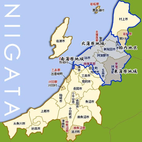 [新潟米 令和5年産] 無洗米 新潟産コシヒカリ 特別栽培米 NTWP製法 越後蒲原特選