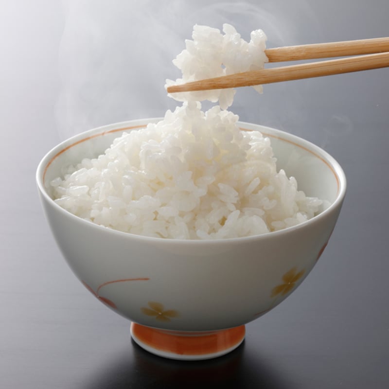 秋田米 令和5年産] 無洗米 秋田県産 あきたこまち 5kg ピロータイプ平