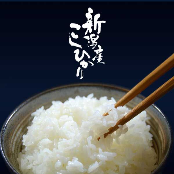 新潟米 令和6年産] 無洗米 新潟産コシヒカリ 吟上 5kg NTWP製法