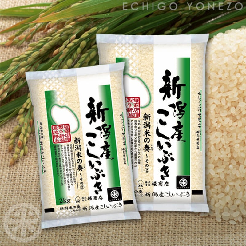 新潟こしいぶき令和6年新米　５月１５日精米　　10きロ 新潟米 令和5年産] 新潟産 こしいぶき [一押し推奨米] 新潟米の