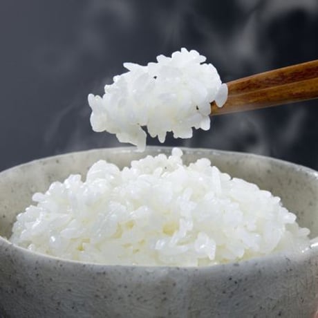 [新潟米 令和5年産] 無洗米 新潟産コシヒカリ 特別栽培米 NTWP製法 越後蒲原特選